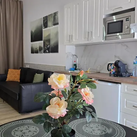 Vicent Clavel Apartmán *