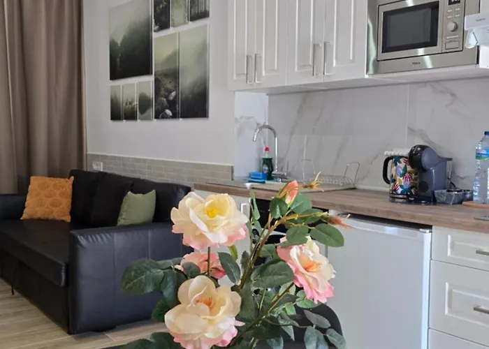 Vicent Clavel Apartamento *